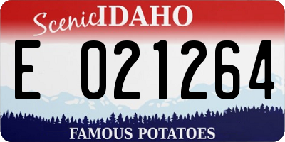ID license plate E021264