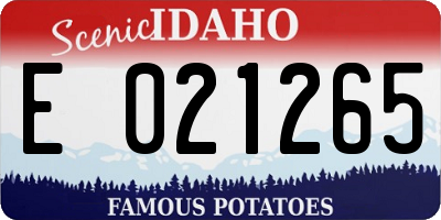 ID license plate E021265