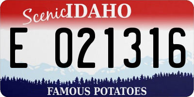 ID license plate E021316