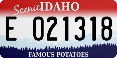 ID license plate E021318