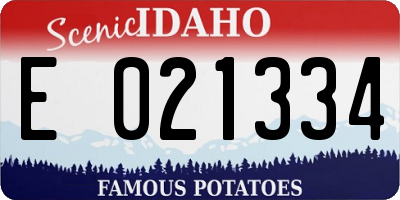 ID license plate E021334