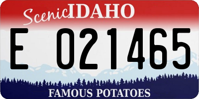 ID license plate E021465
