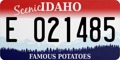 ID license plate E021485