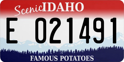 ID license plate E021491