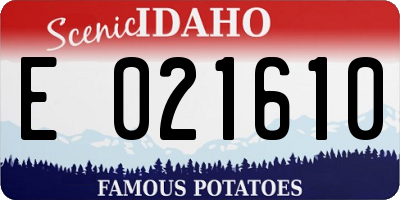 ID license plate E021610