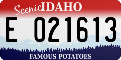 ID license plate E021613