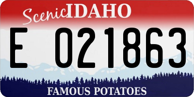 ID license plate E021863