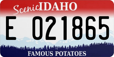 ID license plate E021865