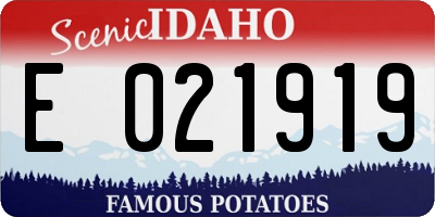 ID license plate E021919
