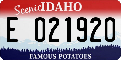ID license plate E021920