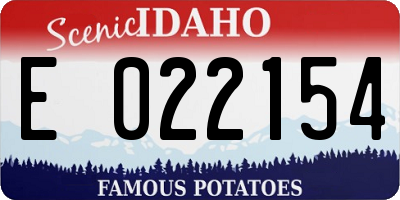 ID license plate E022154