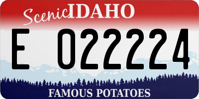 ID license plate E022224