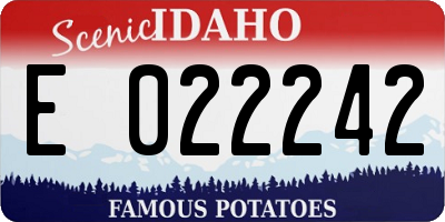 ID license plate E022242