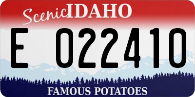 ID license plate E022410