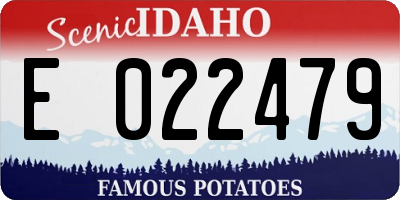 ID license plate E022479