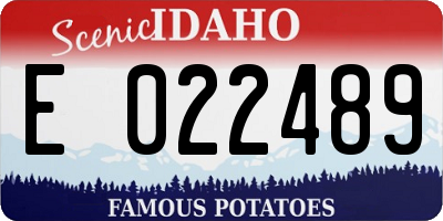 ID license plate E022489