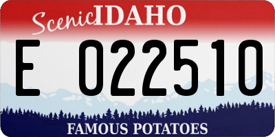 ID license plate E022510