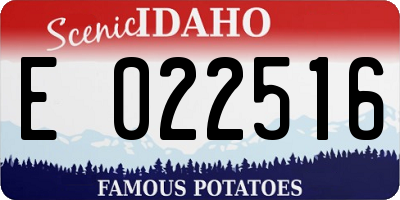 ID license plate E022516