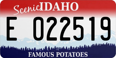 ID license plate E022519