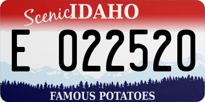 ID license plate E022520