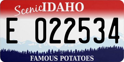 ID license plate E022534