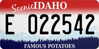 ID license plate E022542