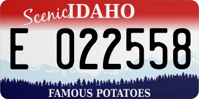 ID license plate E022558