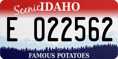 ID license plate E022562