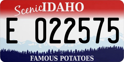 ID license plate E022575