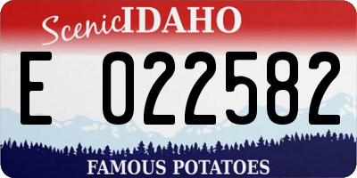 ID license plate E022582