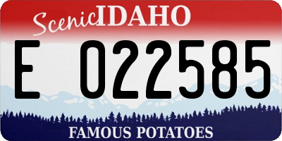 ID license plate E022585