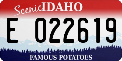 ID license plate E022619