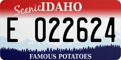ID license plate E022624