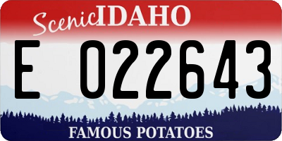 ID license plate E022643