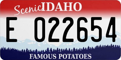 ID license plate E022654