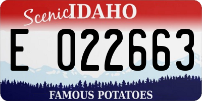 ID license plate E022663