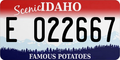 ID license plate E022667