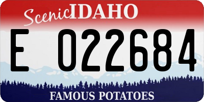 ID license plate E022684