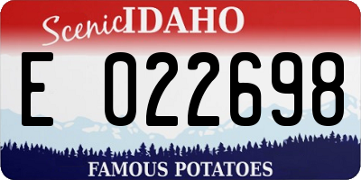 ID license plate E022698