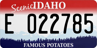 ID license plate E022785