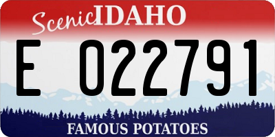 ID license plate E022791