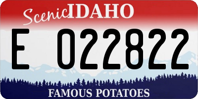 ID license plate E022822