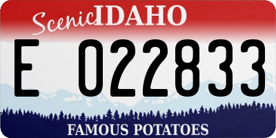 ID license plate E022833