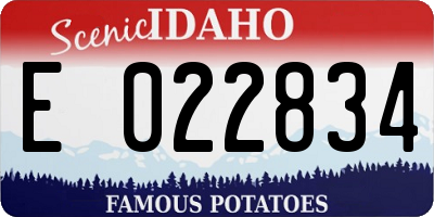 ID license plate E022834