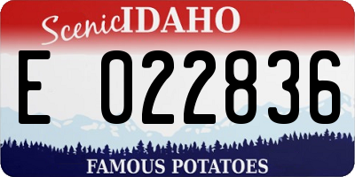 ID license plate E022836