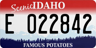 ID license plate E022842