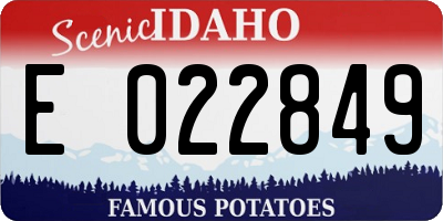 ID license plate E022849