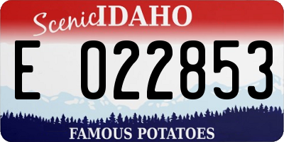 ID license plate E022853