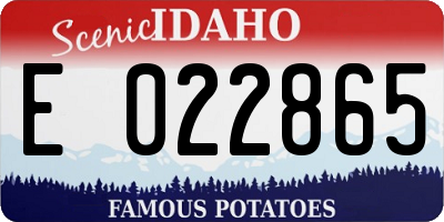 ID license plate E022865