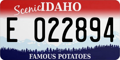 ID license plate E022894